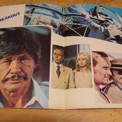 3256【映画パンフレット】ブレイクアウトの画像