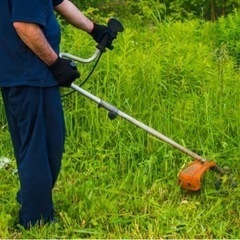 草刈り作業承ります