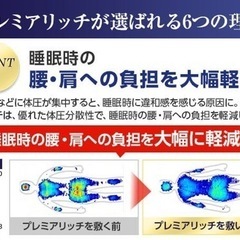 トゥルースリーパー プレミアリッチ　セミダブル　新品未使用の画像