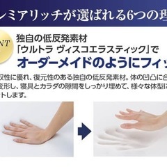 トゥルースリーパー プレミアリッチ　セミダブル　新品未使用の画像