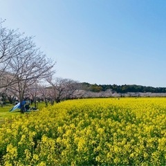 下関市 養蜂場での作業🐝 蜂駆除補助(書類記入、道具準備、撮影)の画像