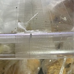 冷蔵庫差し上げますの画像