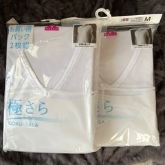 新品未使用　極さら　2枚セット２つで(計4枚)