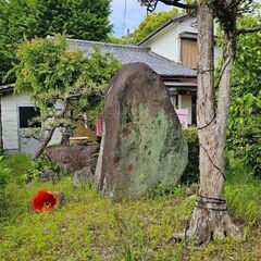 お願いします🙇⤵️