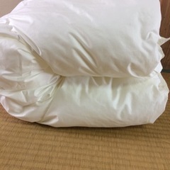 美品 日本製ベビー掛け布団の画像