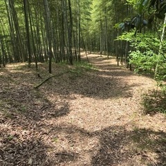 MTBマウンテンバイク仲間募集　和歌山 - 和歌山市