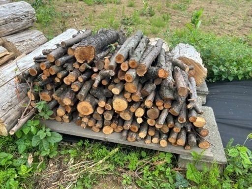 「薪用」梅の販売致します！！