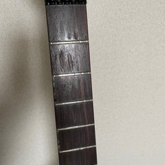 edwards EFV125FMの画像