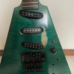edwards EFV125FMの画像