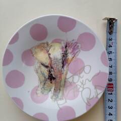 北村直登デザイン　 絵皿　象の画像