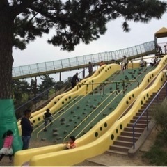 7月22日・23日浜寺公園、中央大通り - 堺市