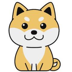柴犬が大好きです🙂