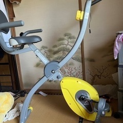 ダイエットバイク
