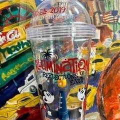 激レア 2019年 フロリダディズニーの中古 タンブラー カップの画像