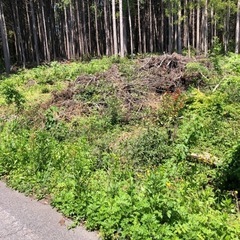 薪　　伐採した杉、雑木、約1年6ヶ月乾燥してます。の画像