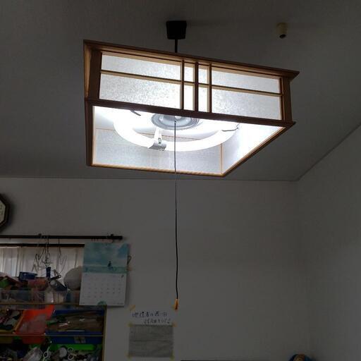 和室照明