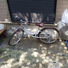 ジュニア自転車24インチ　白