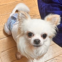 病院受診中の為、募集一旦止めます。