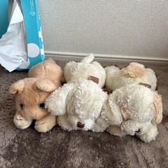犬と猫のぬいぐるみ