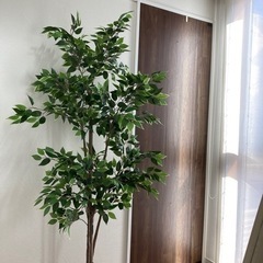 フェイクグリーン　IKEA 観葉植物　ベンジャミン