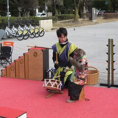 姫路大手前公園にて姫路自由市場、フリーマーケット7月,8月。開催決定。出店者募集。 - 姫路市