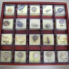 DeAGOSTINI トレジャー・ストーン 天然石 鉱物 化石 宝石 原石