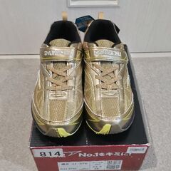 新品　瞬足　23cm　ゴールド