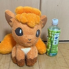 ポケモンぬいぐるみ値下げの画像