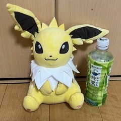 ポケモンぬいぐるみ値下げ