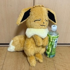 ポケモンぬいぐるみ値下げの画像