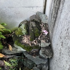 庭石の画像