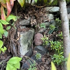 庭石の画像