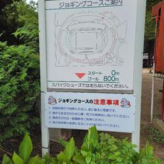 のんびりゆるくランニングor散歩 - スポーツ