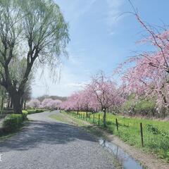 のんびりゆるくランニングor散歩 − 埼玉県