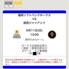 6/11(日)ホークスvsジャイアンツ セ・パ交流戦[値下げ]