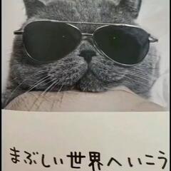 まぶしい未来へ〜コーチング