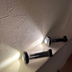 ゴールゼロ / GoalZero / 2本セット /国内正規取扱店購入