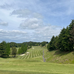 ゴルフ仲間募集⛳️