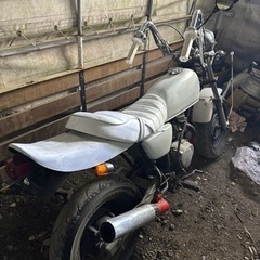 エイプ50 AC16 キャブ車