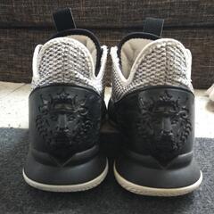NIKE LEBRON WITNESS Ⅳ EP　バッシュ