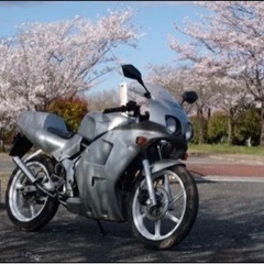 純正フルカウル ns1の画像