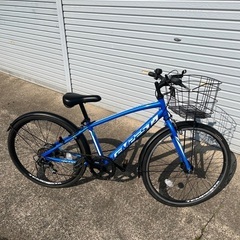自転車　小学生　テンペスト　24インチ
