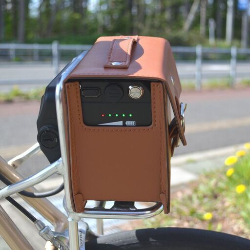 【値下げ】電動アシスト自転車　デイトナDE03