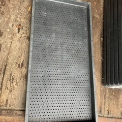 野菜苗用　育苗箱　60枚くらいの画像