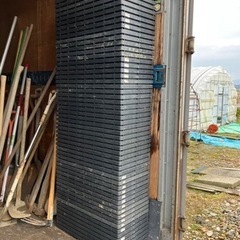 野菜苗用　育苗箱　60枚くらいの画像