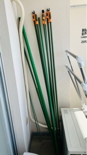 イボ竹　園芸用支柱