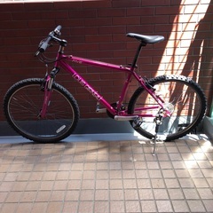 ルイガノ マウンテンバイク LGS FIVE