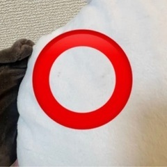 ポチャッコ 1番くじ クッションの画像