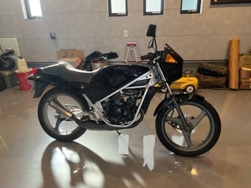 ウルフ50ガンマ仕様