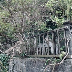 【土地賃貸募集！】利用用途自由・200平米・徒歩2分スーパー